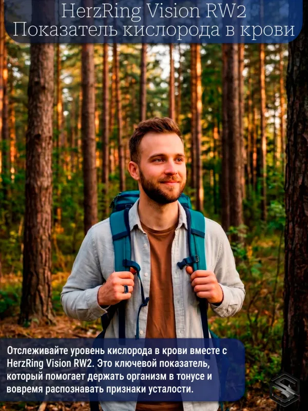 Умное кольцо с экраном &amp; уведомлениями HerzRing Vision RW 2 обсидиан (белый экран)